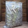 Substrat spécial plantes carnivores - 3L – Image 3