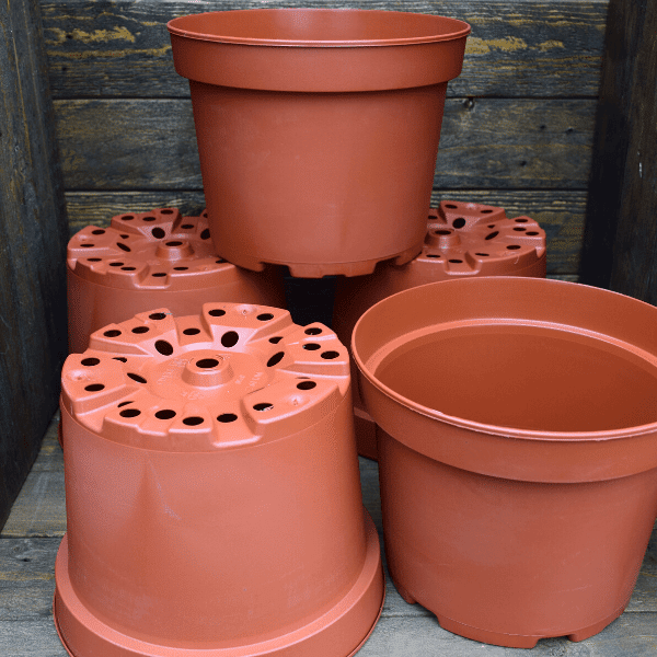 pot-pour-plante-carnivore-plastique-3L-Sarracenia-Dionée-Drosera