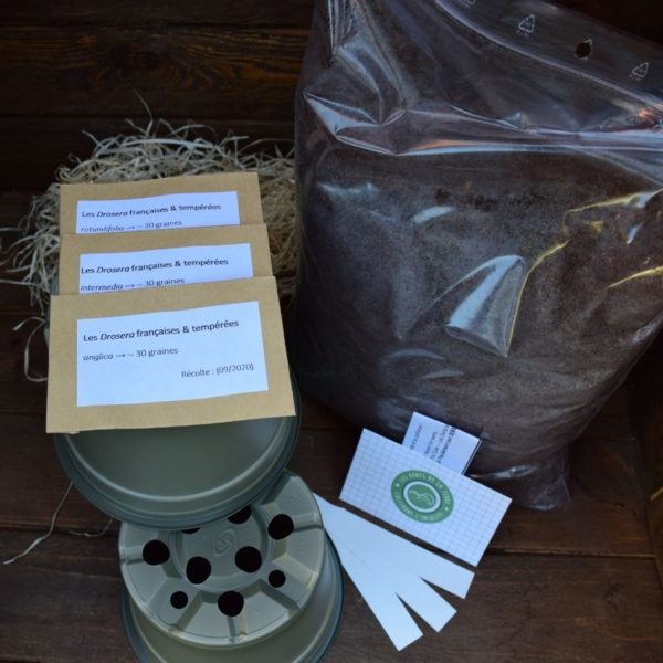 kit de germination - drosera tempérés - plante carnivore