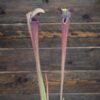 Sarracenia alata var nigropurpurea