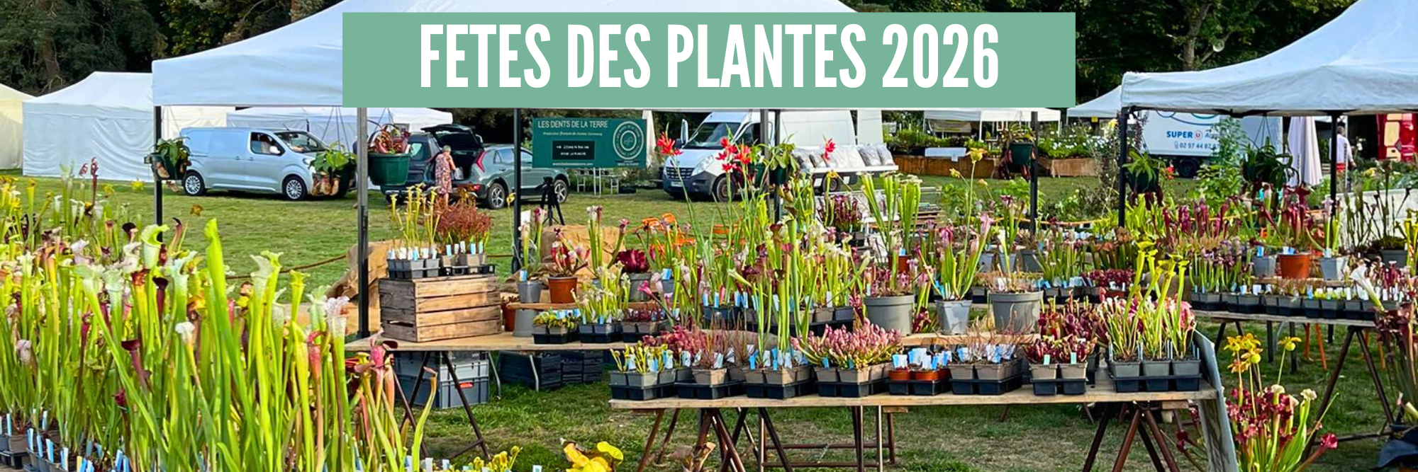 Fete Des Plantes Saint Benoit 86 2023