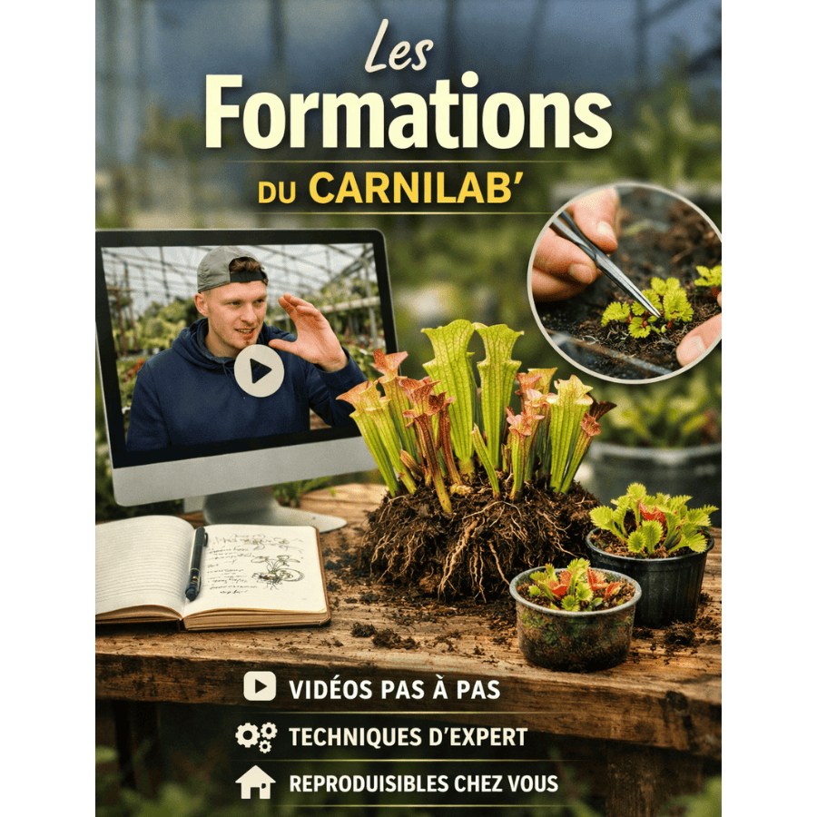 Les formations du CarniLab'