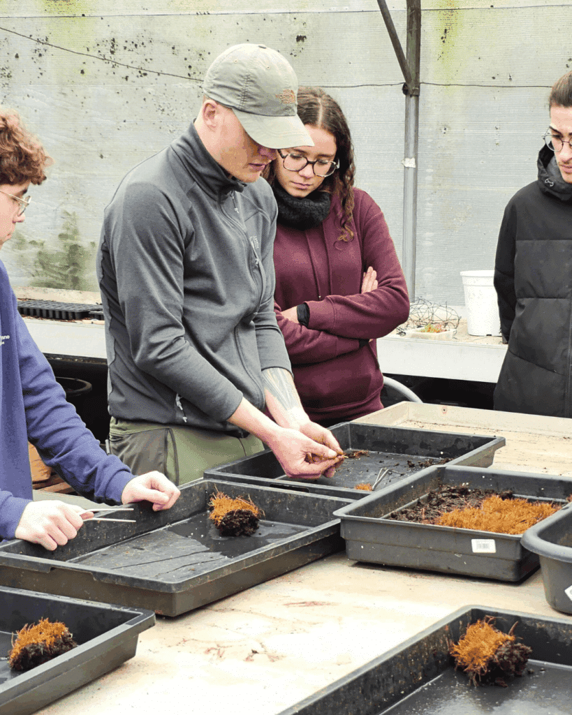 les ateliers à la serre